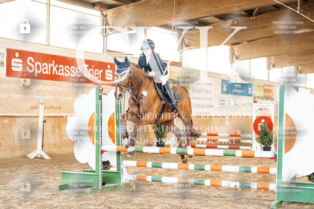 CK903747 | Turnierfotografie Pferdefotografie Trier Rheinland-Pfalz Pferdesport Reitsport Tierfotografie Sportfotografie Pferdevideo Pferdevideografie Equestrianvideography equestrianphotography  - Realized with Pictrs.com