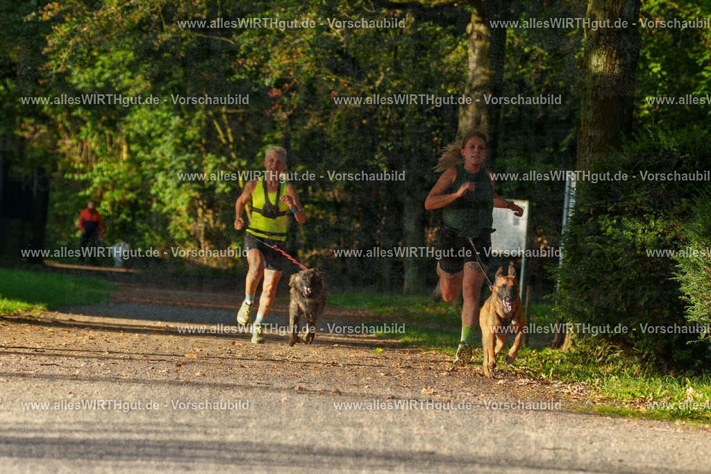 THS_Turnier_27-09-2026-allesWIRTHgut_Tierfotografie-7R505225 | Professionelle Tierfotografie in Mönchengladbach von Daniel Wirth (allesWIRTHgut). Liebevolle & natürliche Bilder von Hunden & Katzen für unvergessliche Erinnerungen.