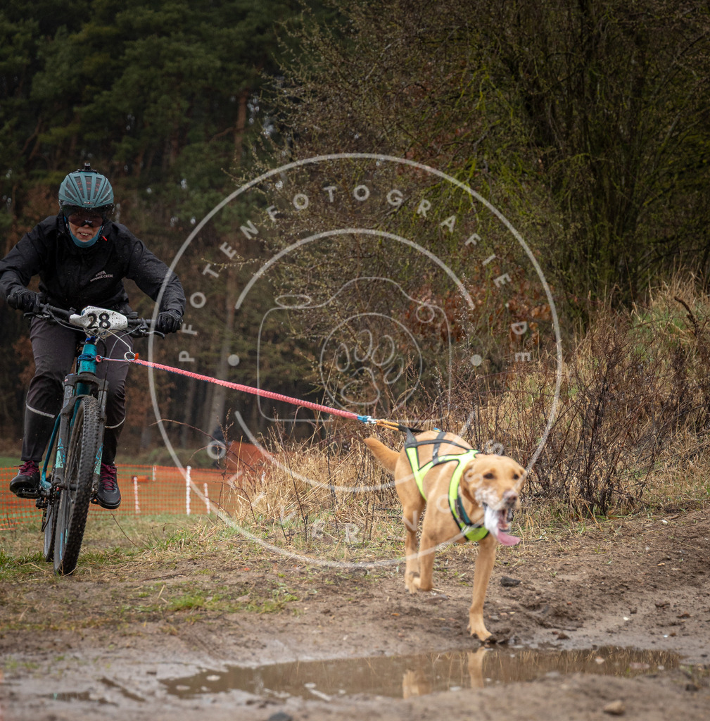 0L8A8892 | Hundefotografie, Tierfotograf, Pfotenfotografie, Fotoshooting Hund, Hunde Portrait, Hundesport, Hundeportraits, Heideshooting, Hunde, Sportfotograf, Hundefotograf, Turnierhundsport, THS,  - Realisiert mit Pictrs.com