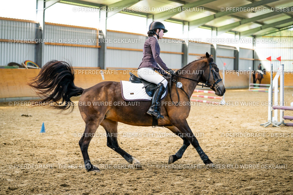 DSC01170 | Pferdegrafie