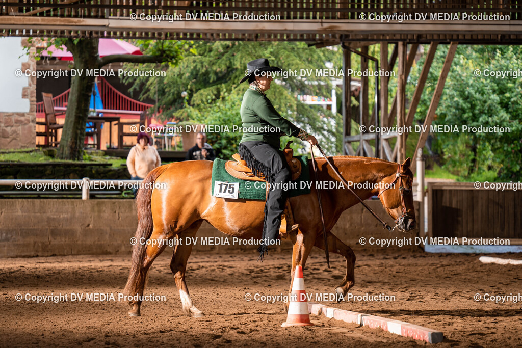 Erbach Tag 1-110 | dv-media-shop - Realisiert mit Pictrs.com