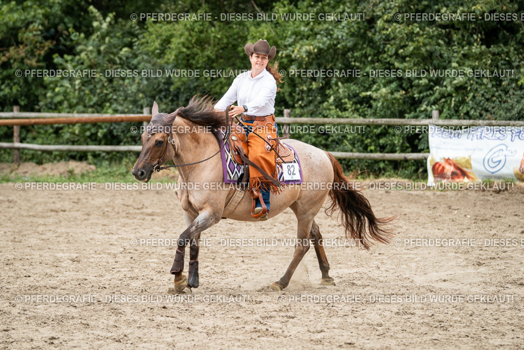 DSC02462 | Pferdegrafie