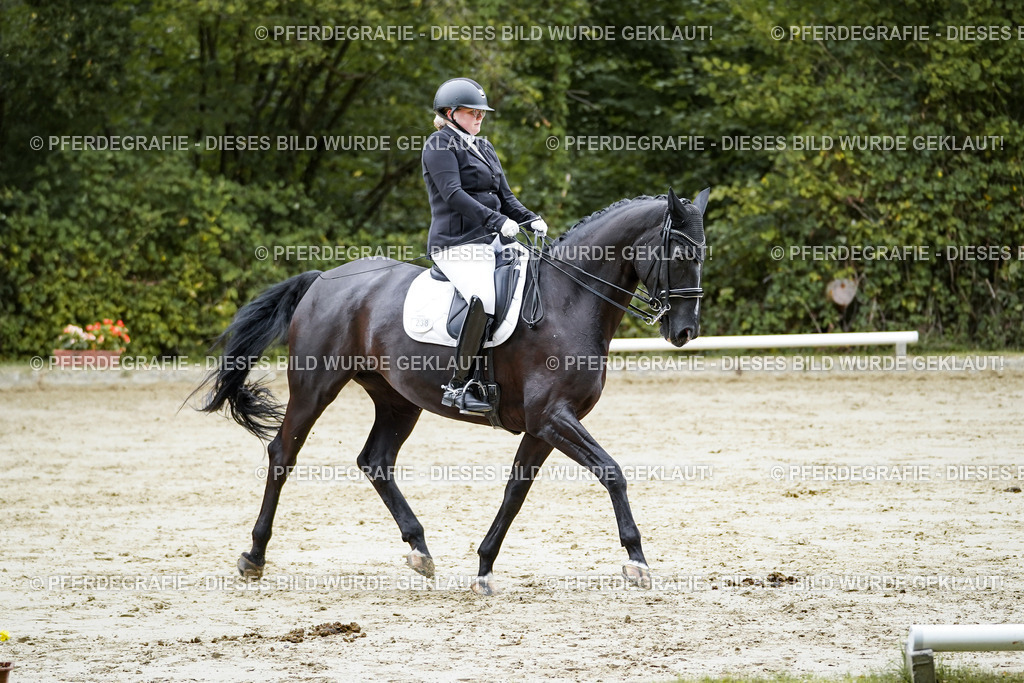 DSC09409 | Pferdegrafie