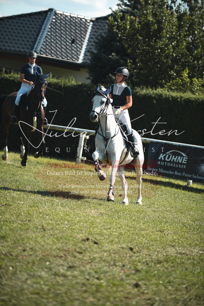 DSC_7338 | Pferde- und Turnierfotografie in Westsachsen. Pferdeportraits, Auftragszeichnungen und intuitive Kunst.