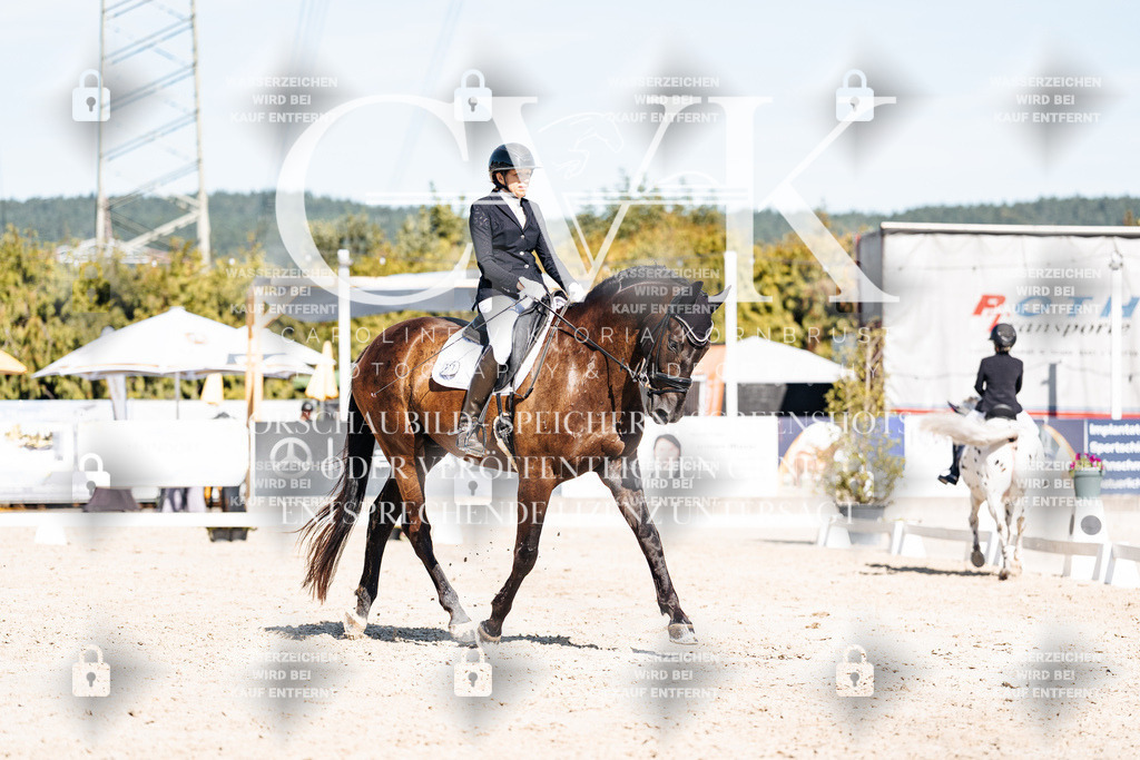 CK908582 | Turnierfotografie Pferdefotografie Trier Rheinland-Pfalz Pferdesport Reitsport Tierfotografie Sportfotografie Pferdevideo Pferdevideografie Equestrianvideography equestrianphotography  - Realisiert mit Pictrs.com
