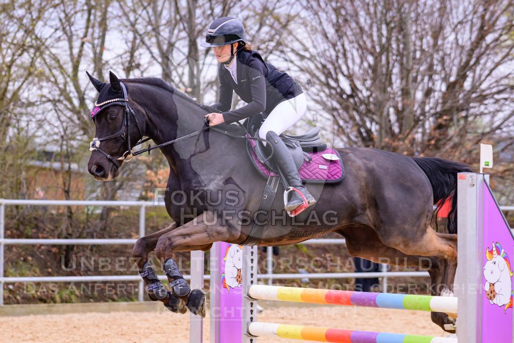 10042026-Mammendorf-Prfg16-0111 | Fokus Hufschlag Fotografie - Realisiert mit Pictrs.com