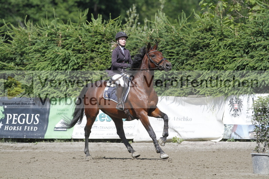 _MG_8644 | equestrian-live-com