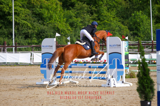 DKP41149 | Turniersportfotografie; Pferdefotografie; Dressurfotografie