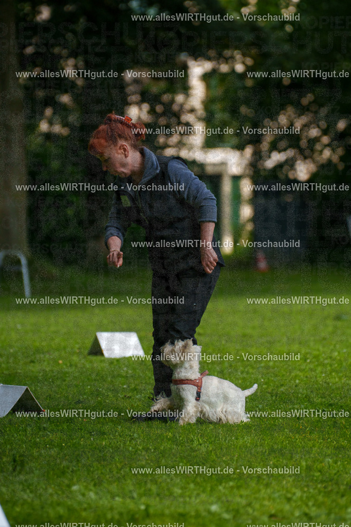@allesWIRTHgut_Tierfotografie - www.allesWIRTHgut.de - 7R503826 | Professionelle Tierfotografie in Mönchengladbach von Daniel Wirth (allesWIRTHgut). Liebevolle & natürliche Bilder von Hunden & Katzen für unvergessliche Erinnerungen.