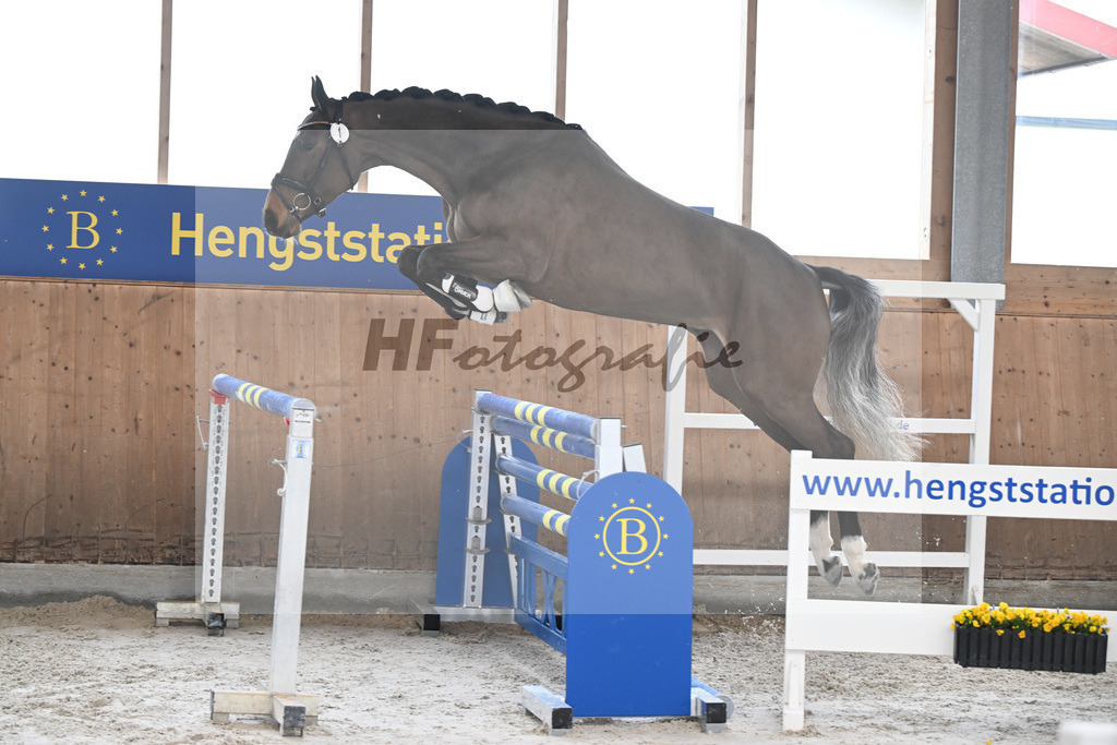 Kat-Nr. 1 Cellestina v Cellestial_Steidl_14260522 | hf-fotografie - Realizzato con Pictrs.com