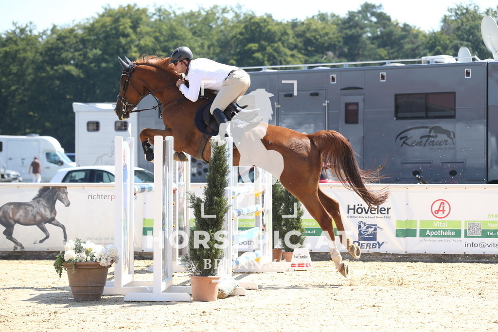 DL2Q3188 | Willkommen bei Brunnmayr - Design & Fotografie – Ihrem Spezialisten für Reitturniere und Pferdeveranstaltungen in Oberösterreich, Salzburg und Bayern! Seit über 17 Jahren sind wir leidenschaftlich dabei.