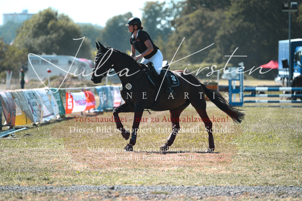 DSC_8222 | Pferde- und Turnierfotografie in Westsachsen. Pferdeportraits, Auftragszeichnungen und intuitive Kunst.