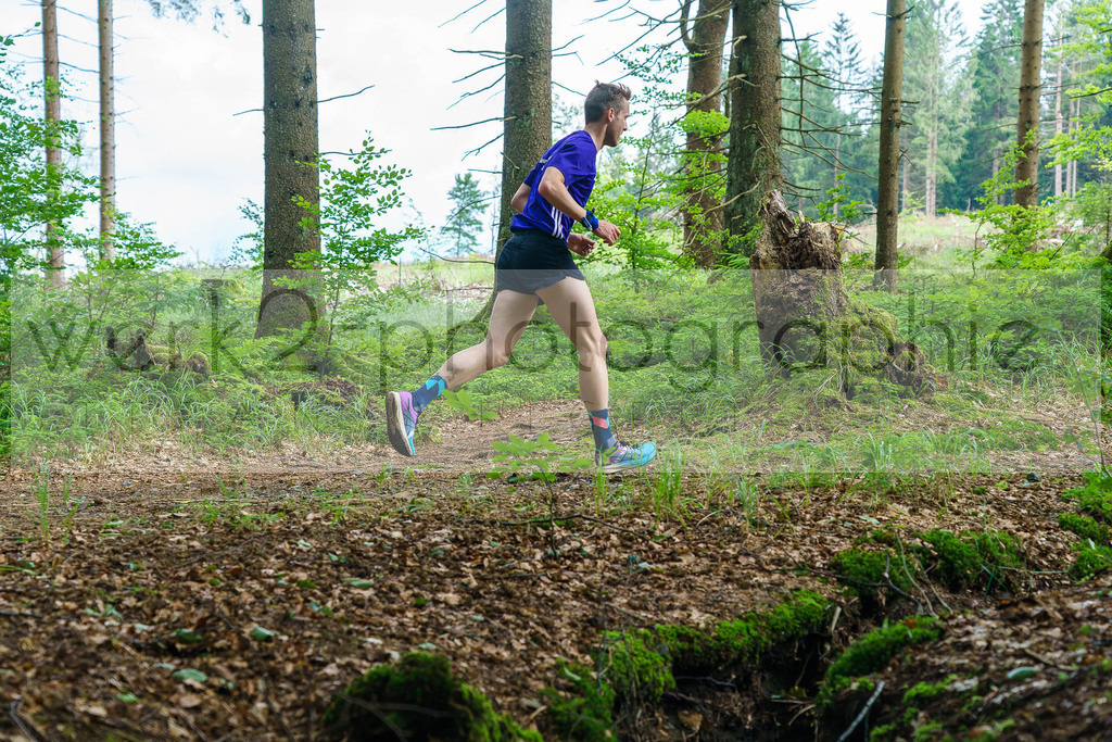 Rennsteig-Staffellauf | 24. Staffellauf - 22.06.2024 von Hörschel nach Blankenstein