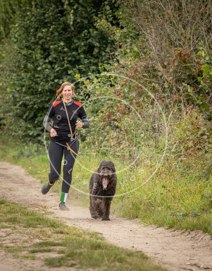 Pfotenfotografie_DV3A7314 | Hundefotografie, Tierfotograf, Pfotenfotografie, Fotoshooting Hund, Hunde Portrait, Hundesport, Hundeportraits, Heideshooting, Hunde, Sportfotograf, Hundefotograf, Turnierhundsport, THS,  - Realisiert mit Pictrs.com