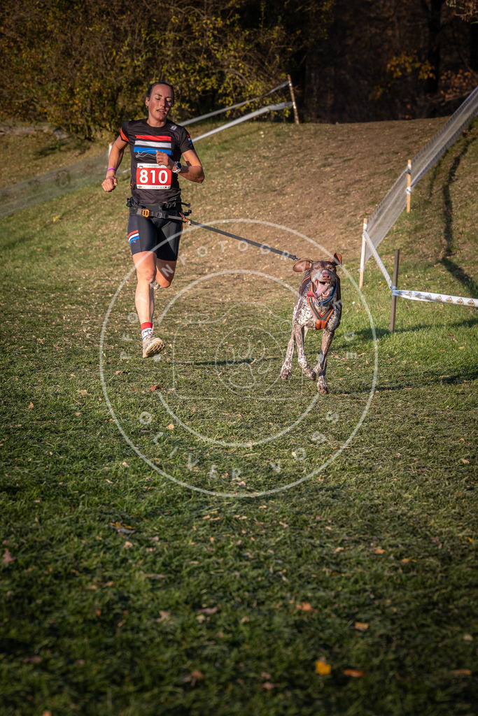 CaniXpix_0L8A0459 | Hundefotografie, Tierfotograf, Pfotenfotografie, Fotoshooting Hund, Hunde Portrait, Hundesport, Hundeportraits, Heideshooting, Hunde, Sportfotograf, Hundefotograf, Turnierhundsport, THS,  - Realisiert mit Pictrs.com
