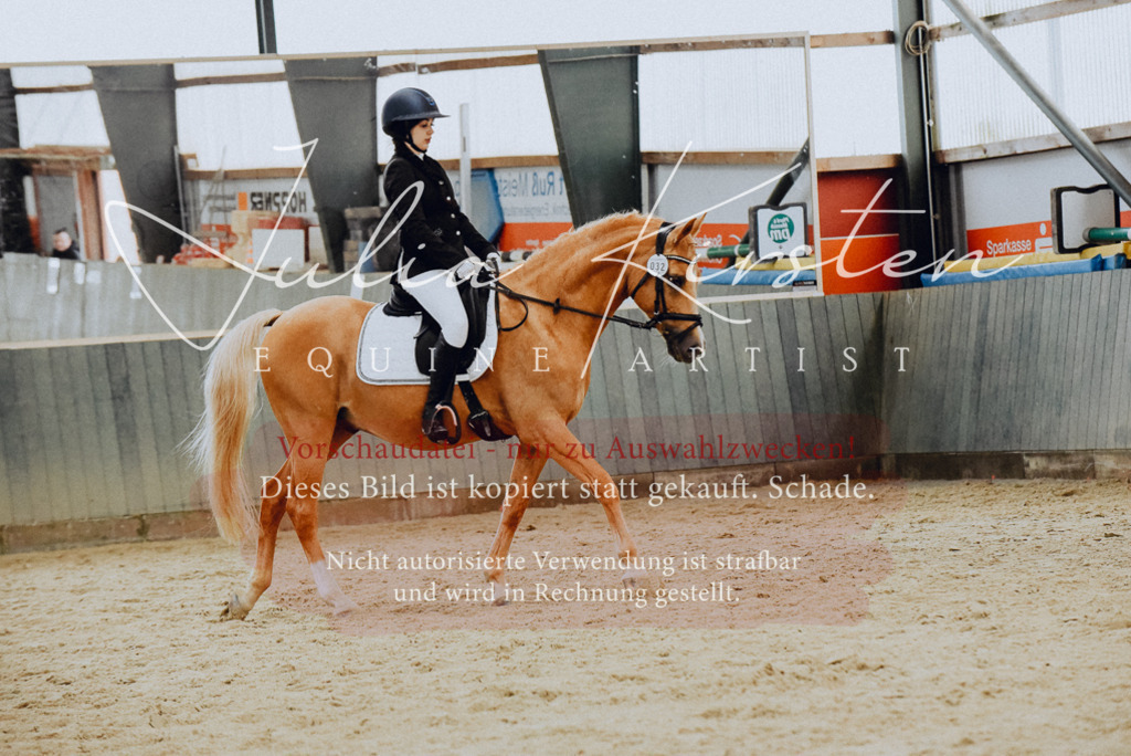 DSC_7247 | Pferde- und Turnierfotografie in Westsachsen. Pferdeportraits, Auftragszeichnungen und intuitive Kunst.