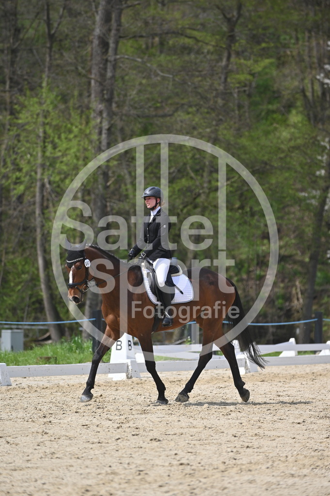 DSC_3198 | sattelsport - Realisiert mit Pictrs.com