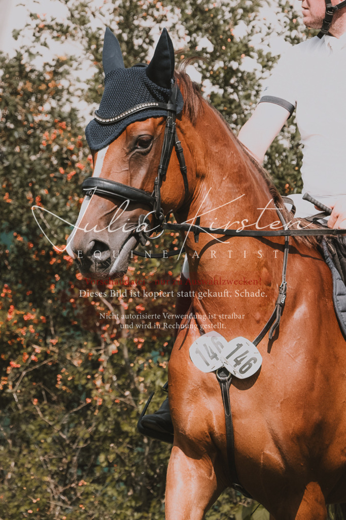 DSC_0630 | Pferde- und Turnierfotografie in Westsachsen. Pferdeportraits, Auftragszeichnungen und intuitive Kunst.