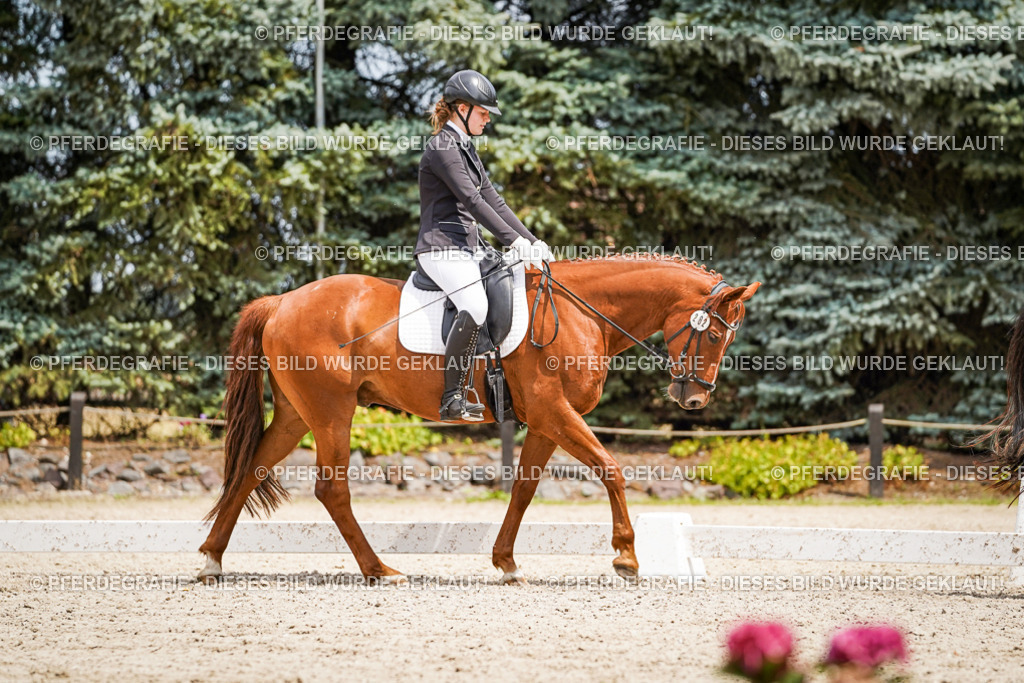 DSC03669 | Pferdegrafie