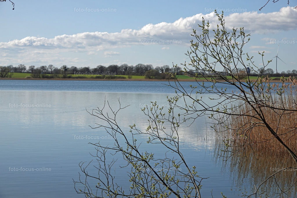 Smiling Lake_32 | Late afternoon in spring at the lake