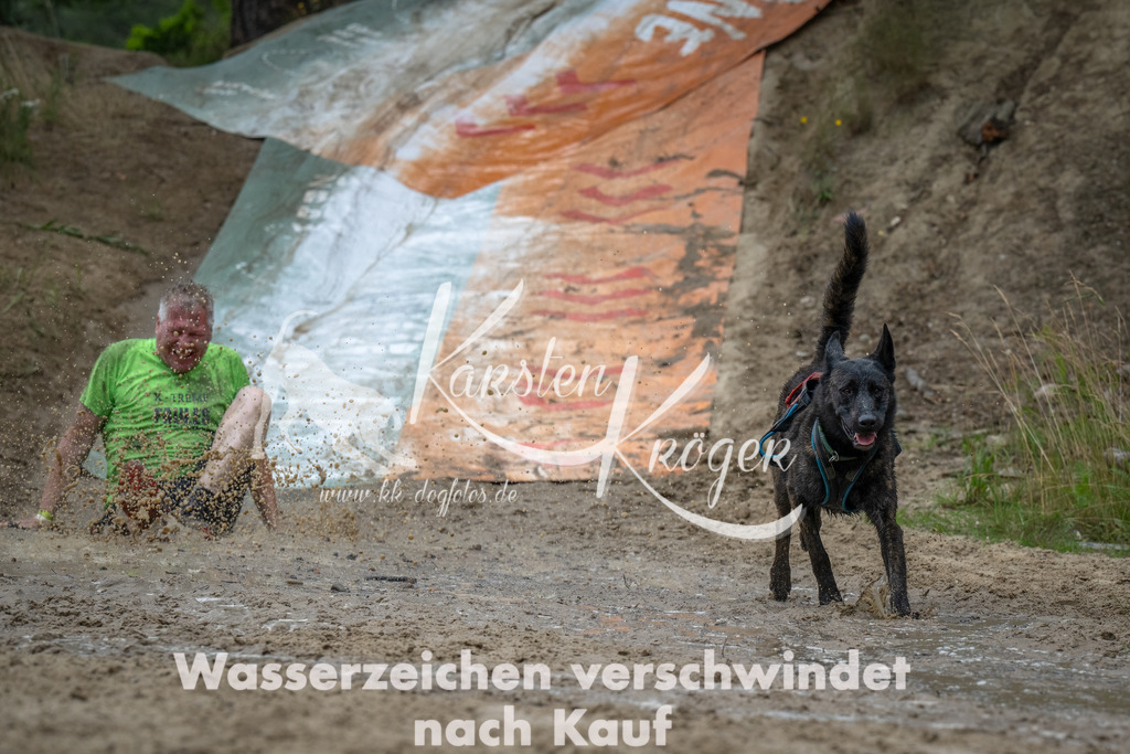 1645_ZZ92894-Bearbeitet | kk-dogfotos