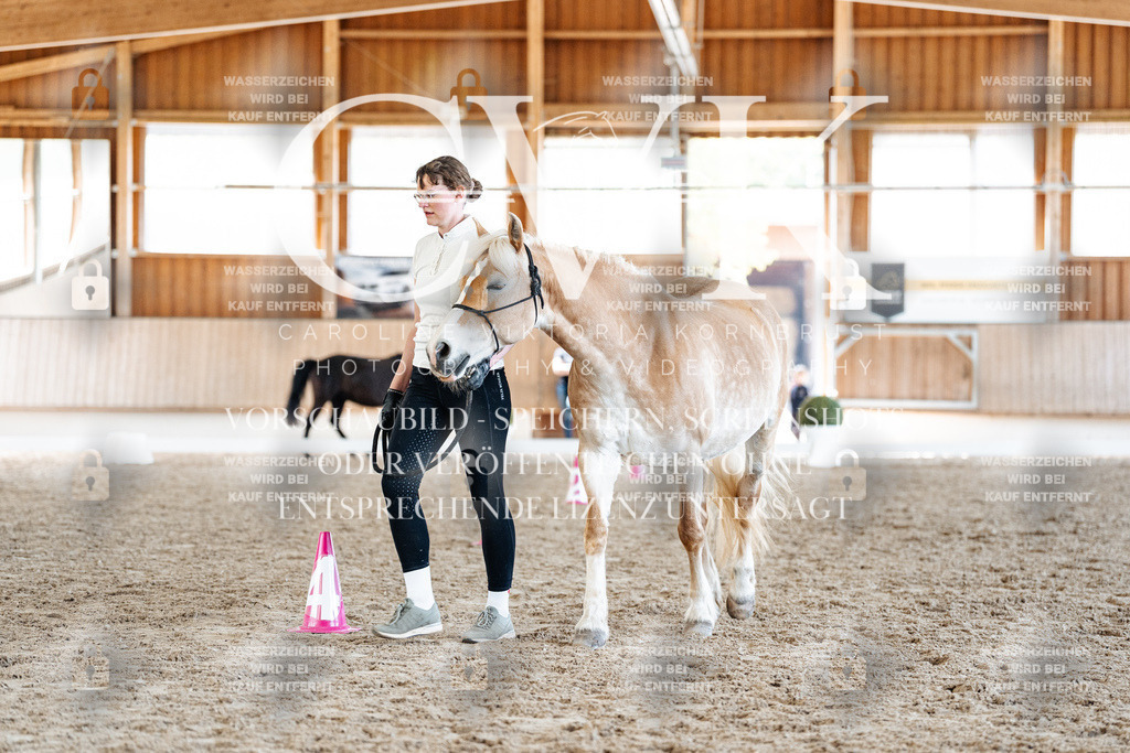 CK907320 | Turnierfotografie Pferdefotografie Trier Rheinland-Pfalz Pferdesport Reitsport Tierfotografie Sportfotografie Pferdevideo Pferdevideografie Equestrianvideography equestrianphotography  - Realisiert mit Pictrs.com