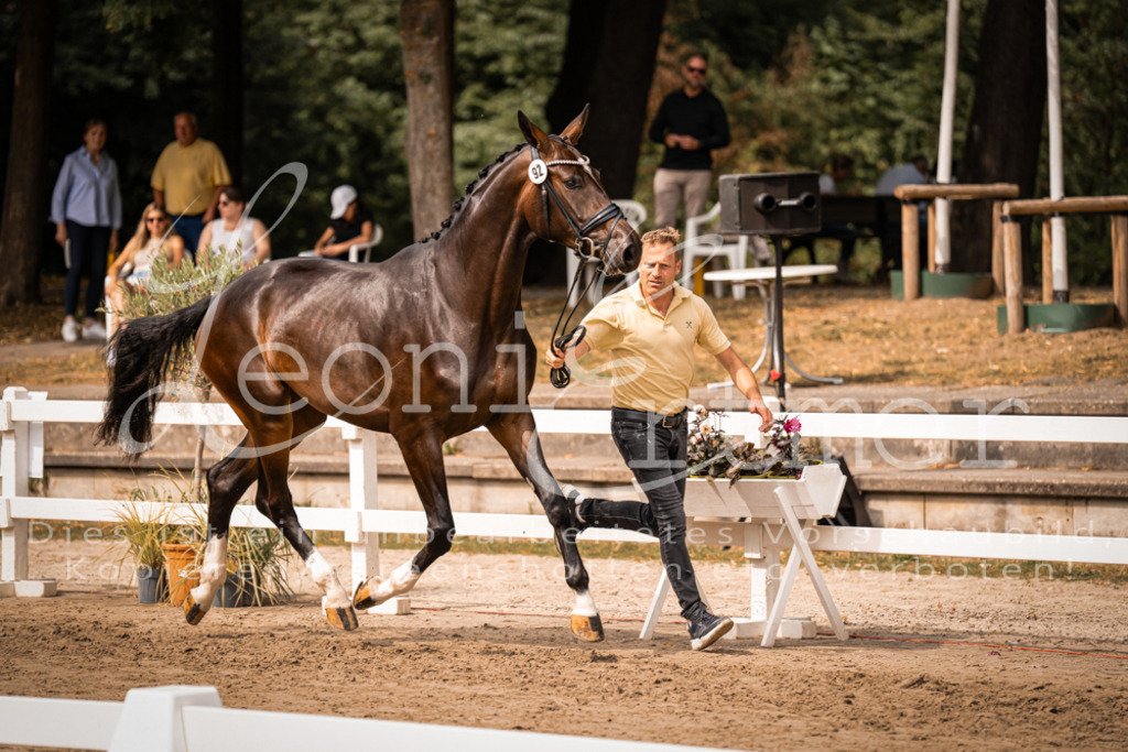 6.Fr00019 | Leoni Ertmer Photography - Realisiert mit Pictrs.com