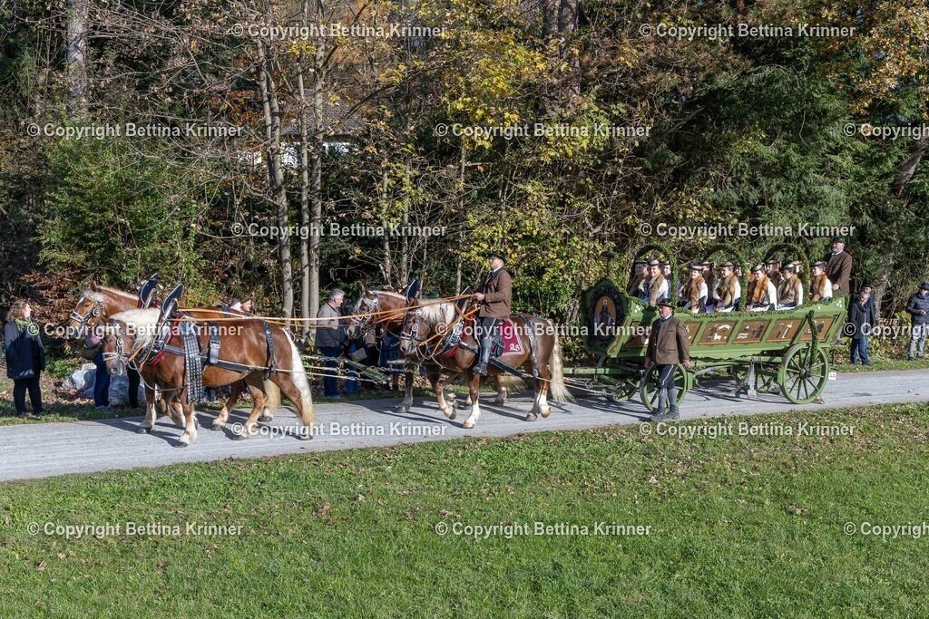 LBT24-727 | foto-bettina-krinner - Realisiert mit Pictrs.com