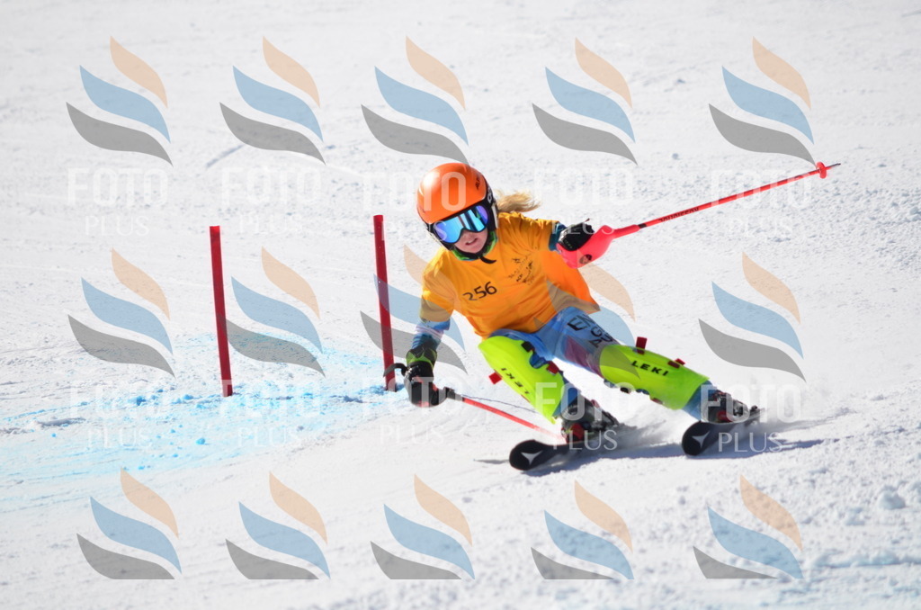 C8477 | holidayphoto