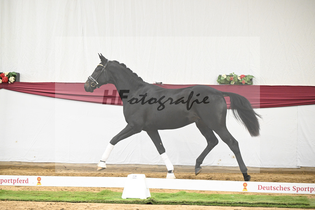 Kat-Nr. 23 Va Pensiero x De Niro_Christiane Schindele_47250718 | hf-fotografie - Realisiert mit Pictrs.com