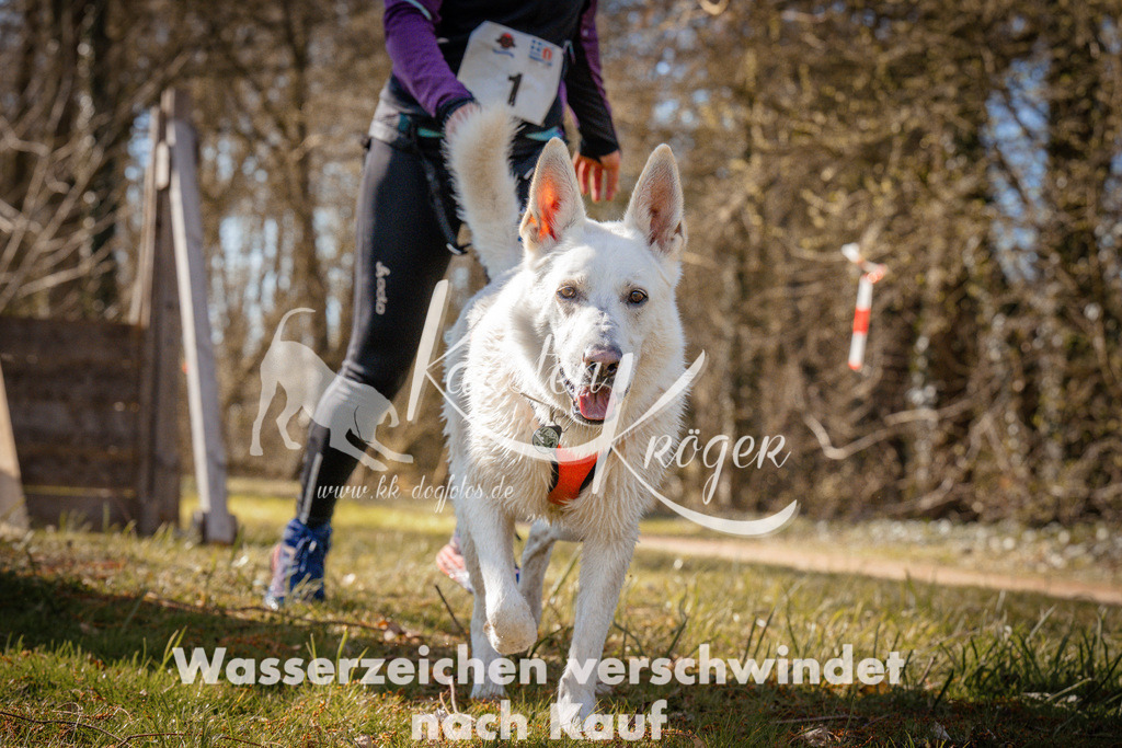 0908_ZZ93860 | kk-dogfotos