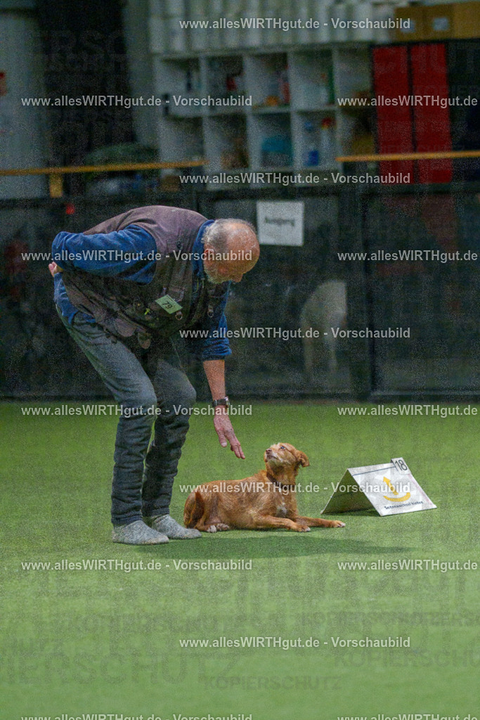 7R507663 | Professionelle Tierfotografie in Mönchengladbach von Daniel Wirth (allesWIRTHgut). Liebevolle & natürliche Bilder von Hunden & Katzen für unvergessliche Erinnerungen.