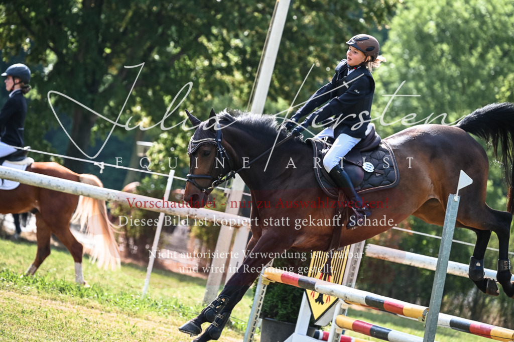 DSC_7983 | Pferde- und Turnierfotografie in Westsachsen. Pferdeportraits, Auftragszeichnungen und intuitive Kunst.