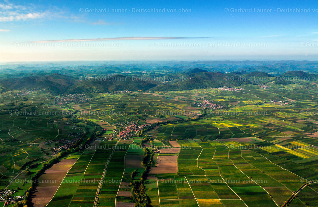 25P0024 | Blick über die Weinlandschaft  bei Heuchelheim zum Pfälzerwald