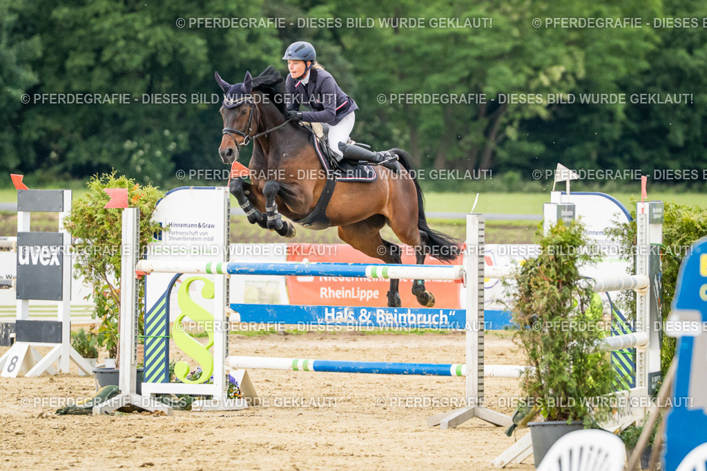 DSC06762 | Pferdegrafie