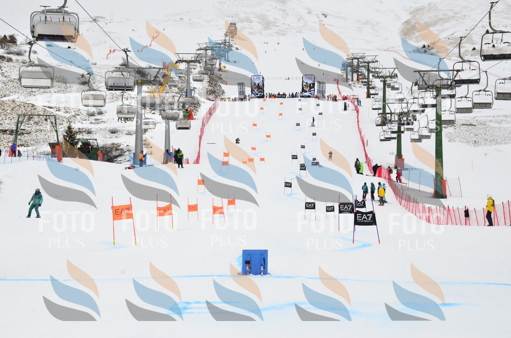 _ELE3857 | holidayphoto