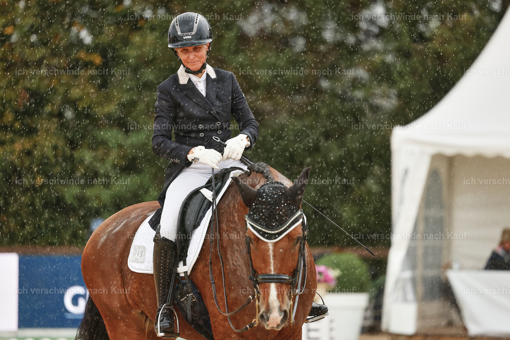 8_2-149-DRESSUR S_  -StoibPH-4484 | working equitationturnier fotograf videograf stoibphotography marixx film working equitation deutschland reitsport turnierfotografie eventfotografie equestrian events