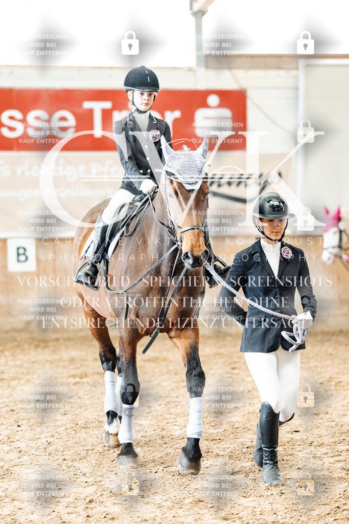 CK905961 | Turnierfotografie Pferdefotografie Trier Rheinland-Pfalz Pferdesport Reitsport Tierfotografie Sportfotografie Pferdevideo Pferdevideografie Equestrianvideography equestrianphotography  - Realisiert mit Pictrs.com
