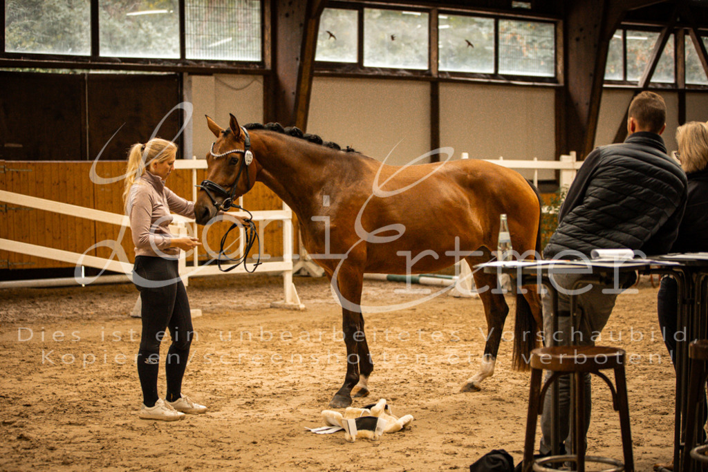 2FS_L00163 | Leoni Ertmer Photography - Realisiert mit Pictrs.com