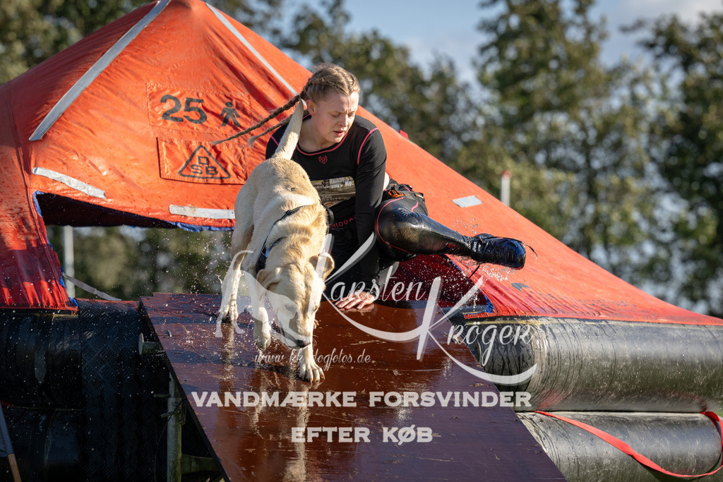 1447-94986 | kk-dogfotos