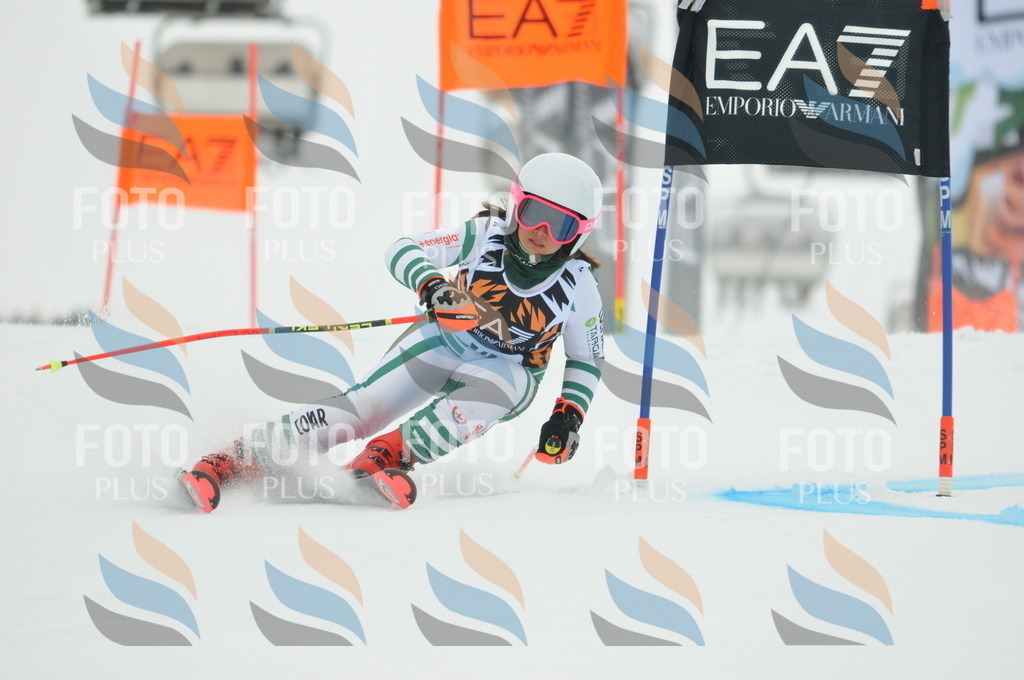 DSC_7415 | holidayphoto