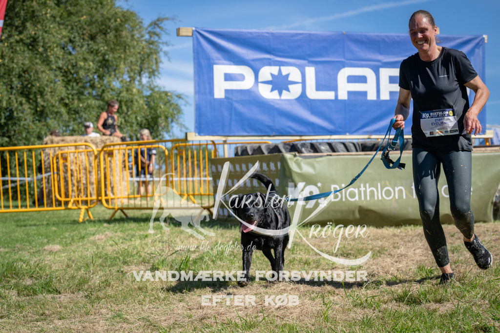 1116_ZZ91053 | kk-dogfotos