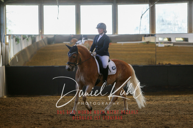 IMG_2967 | Turniersportfotografie; Pferdefotografie; Dressurfotografie