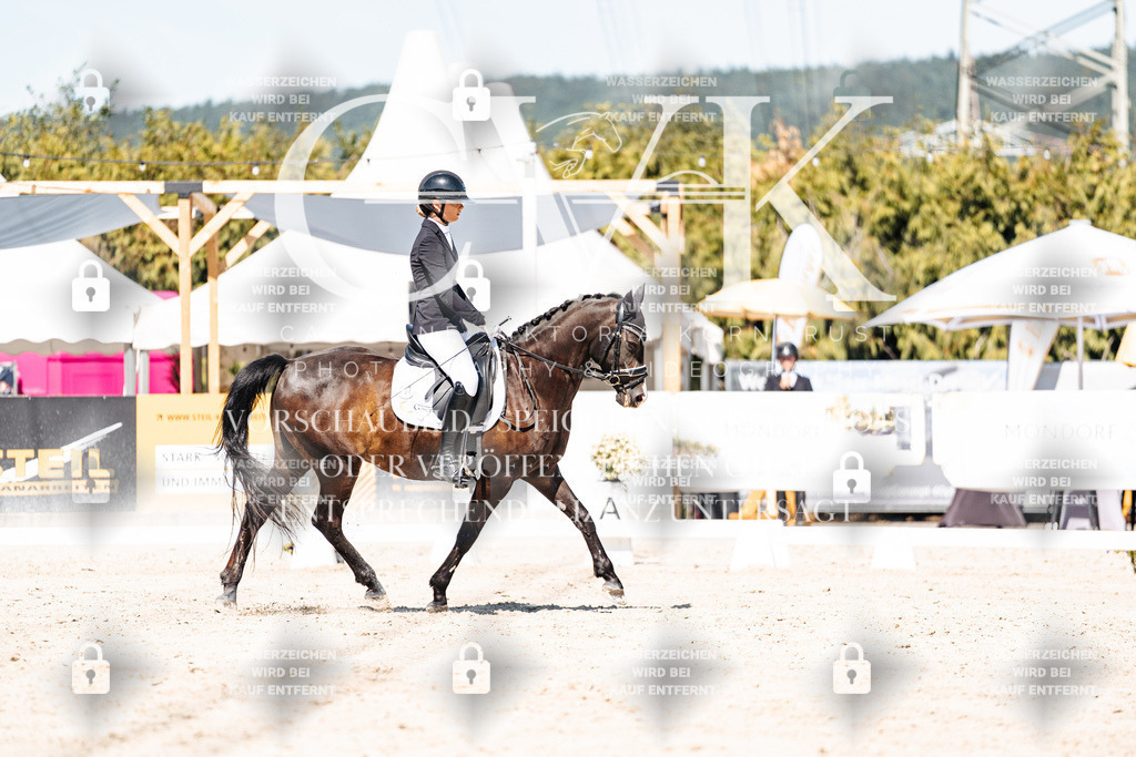 CK909698 | Turnierfotografie Pferdefotografie Trier Rheinland-Pfalz Pferdesport Reitsport Tierfotografie Sportfotografie Pferdevideo Pferdevideografie Equestrianvideography equestrianphotography  - Realisiert mit Pictrs.com