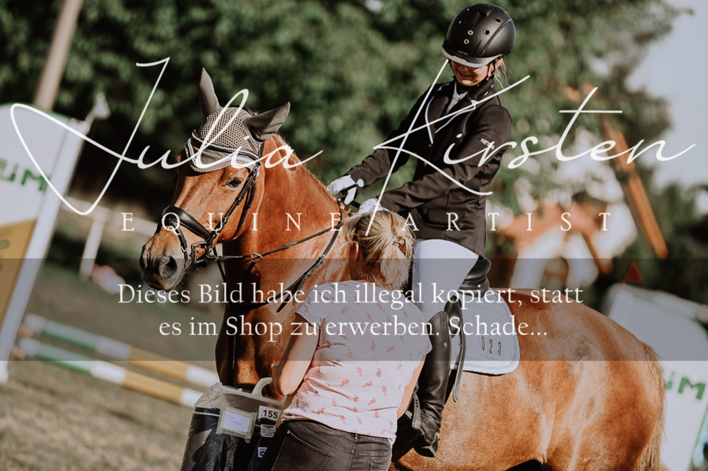 DSC_9519 | Pferde- und Turnierfotografie in Westsachsen. Pferdeportraits, Auftragszeichnungen und intuitive Kunst.