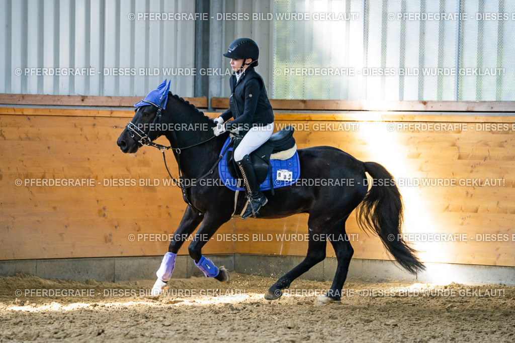 DSC02128 | Pferdegrafie