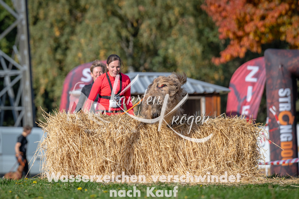 1025_ZZ90131 | kk-dogfotos