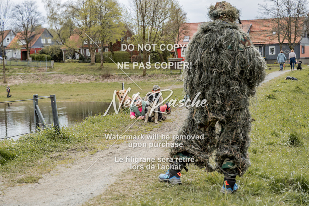 NR__2541 | nelerasche