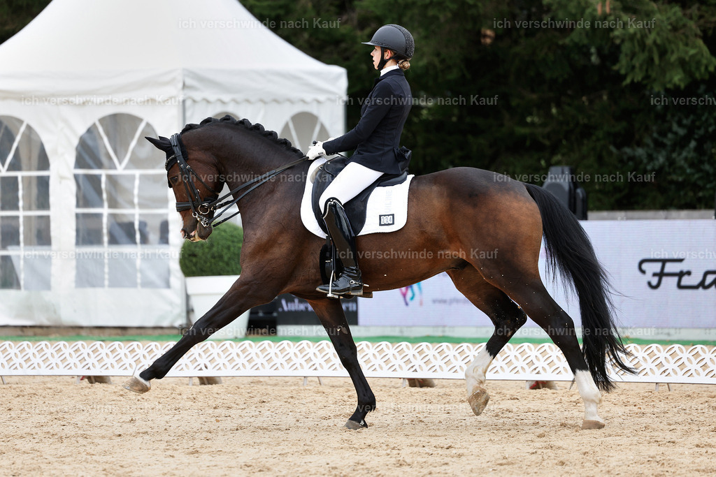 3-224-Dressur M_-StoibPH-2537 | working equitationturnier fotograf videograf stoibphotography marixx film working equitation deutschland reitsport turnierfotografie eventfotografie equestrian events