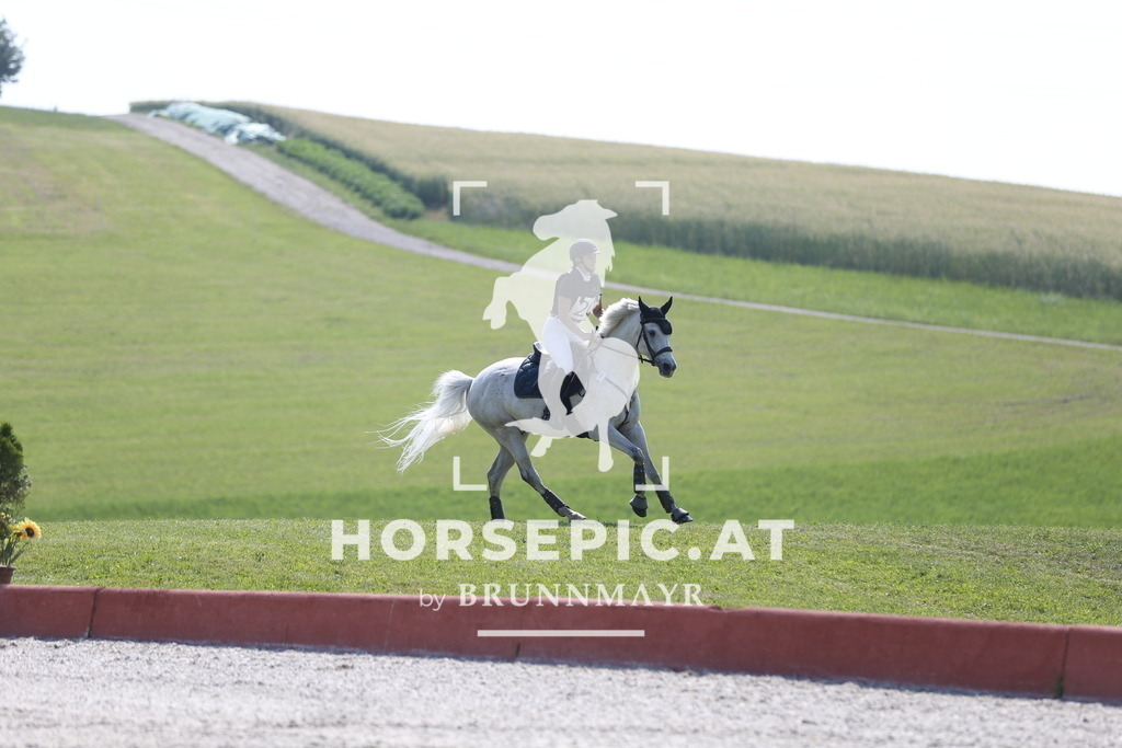 DL2Q1584 | Willkommen bei Brunnmayr - Design & Fotografie – Ihrem Spezialisten für Reitturniere und Pferdeveranstaltungen in Oberösterreich, Salzburg und Bayern! Seit über 17 Jahren sind wir leidenschaftlich dabei.
